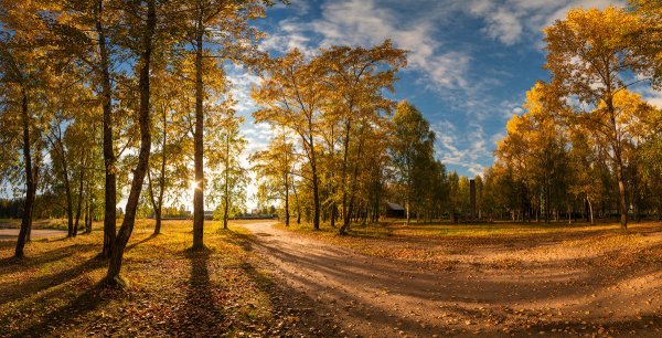 Осень панорама