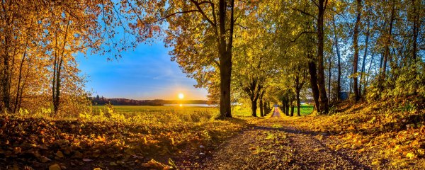 Осень панорама