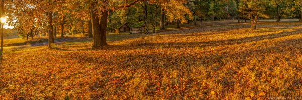 Природа осенью