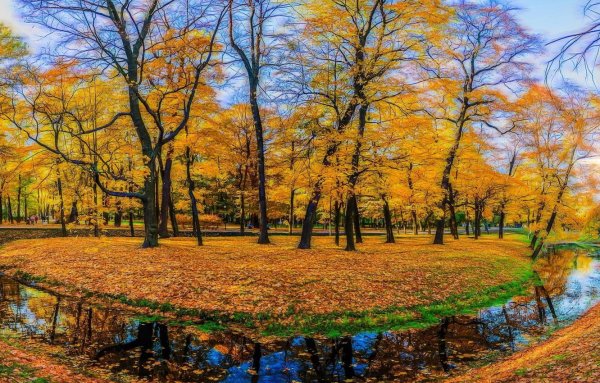 Осенний парк панорама