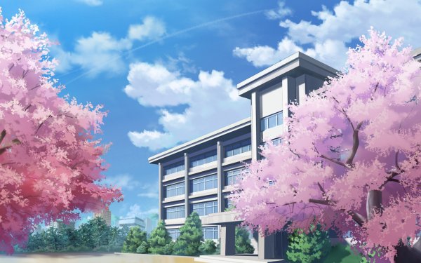 Вечноцветущая Сакура аниме