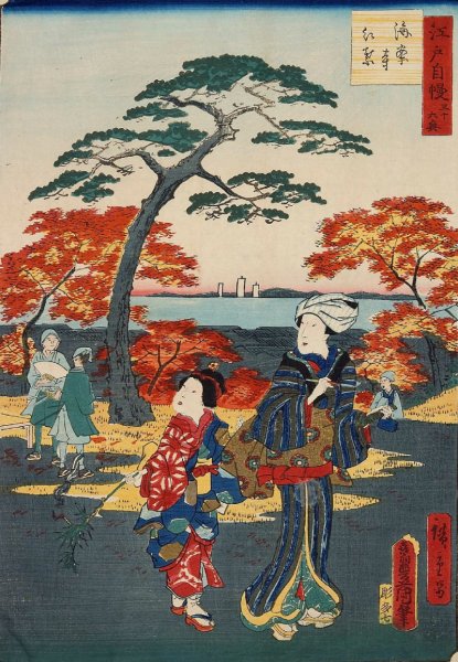 Утагава Хиросигэ хризантемы