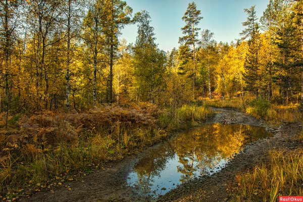 Природа Урала лес