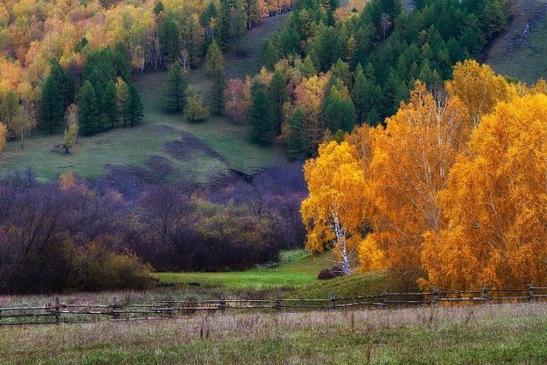 Лесостепи Южного Урала