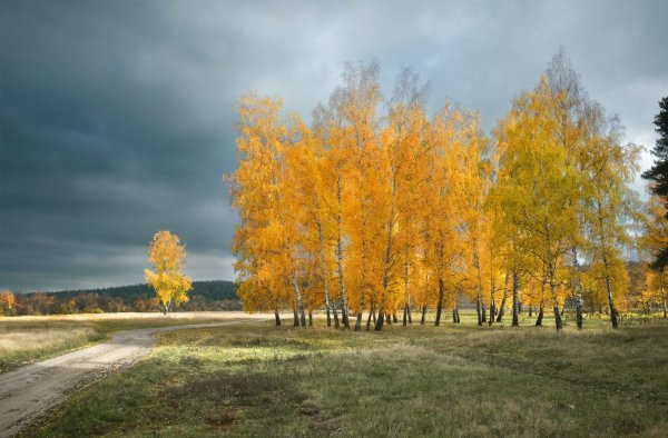 Осень в Башкирии