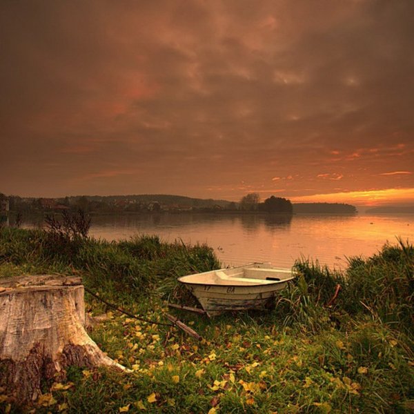 Умиротворенный пейзаж