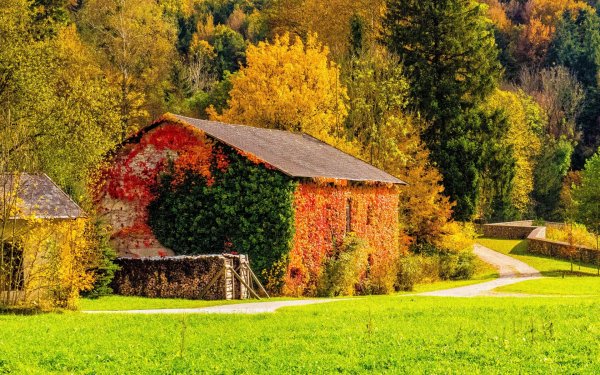 Осенний домик