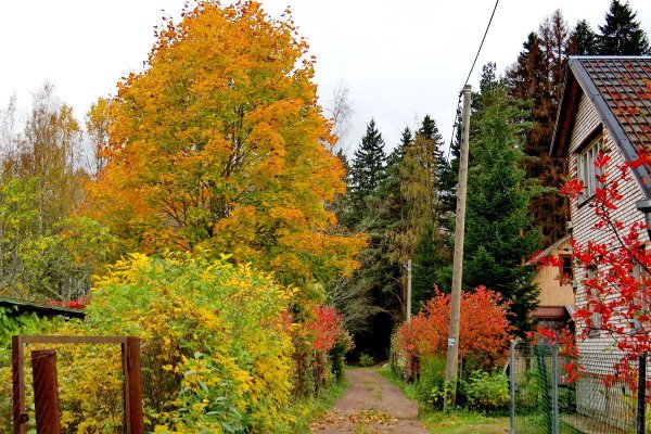 Участок осенью