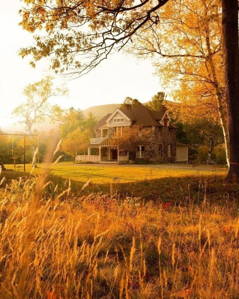 Домик в деревне