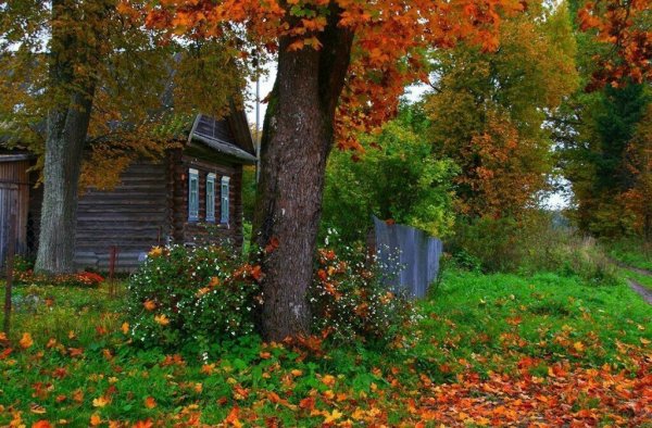 Осень в деревне
