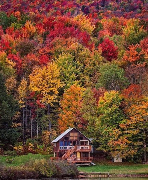 Дом Шварцвальд картина