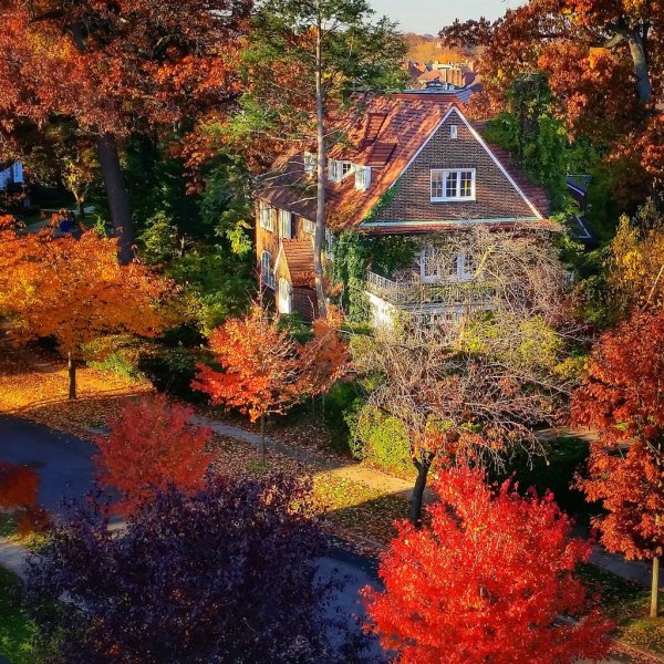 Осенью на даче