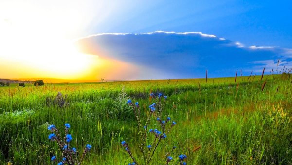 Красота полей русских