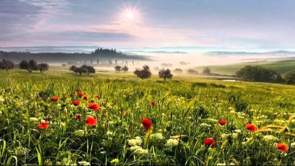 Цветущая Тоскана Италия