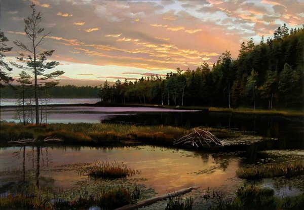 Художник Arthur chartow