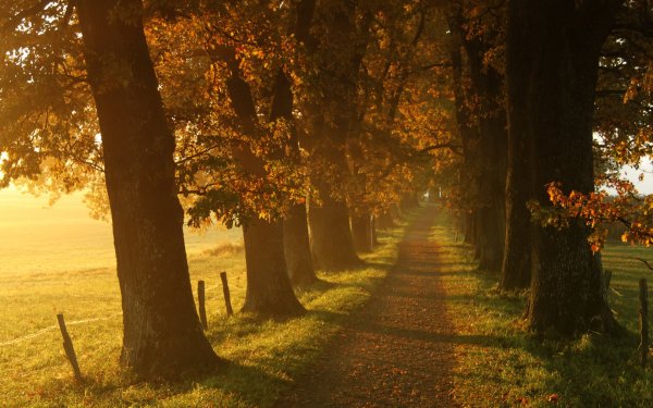 Фон для рабочего стола осень