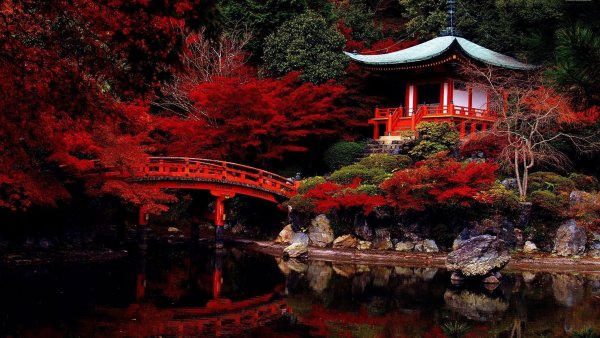 Нихон тэйэн