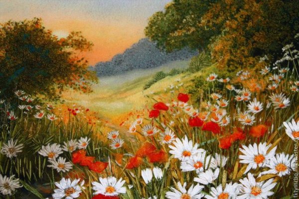 Картина ромашки в поле