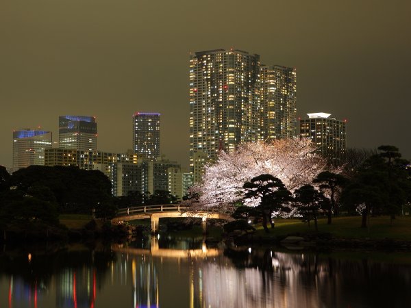 Токио рассвет