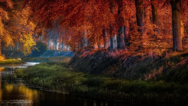 Обои на рабочий стол осень