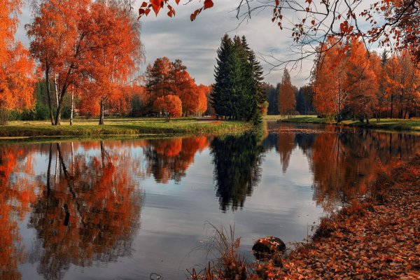 Осенний рассвет