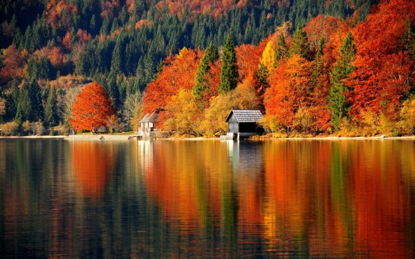 Необычные осенние пейзажи