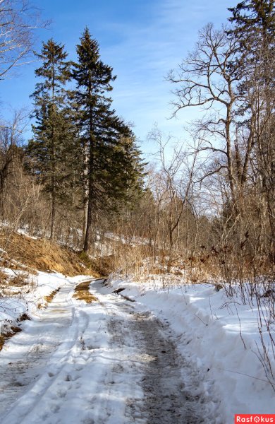 Ходюков Александр художник Весна