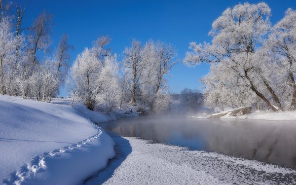 Шевелёв Александр Викторович художник