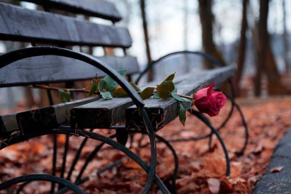 Осенняя клумба