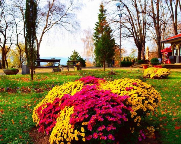 Осеннее настроение