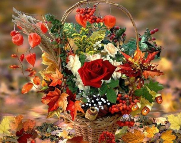 Осенняя природа