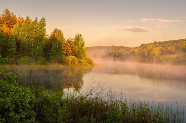 Природа Курской области