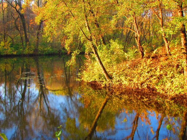 Боевка Курск осень