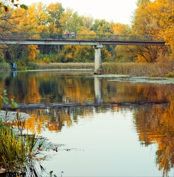 Речка Тускарь мост Курск