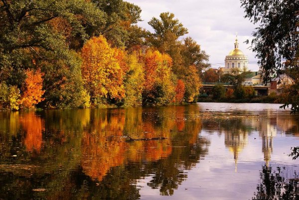 Церкви Курска осенью