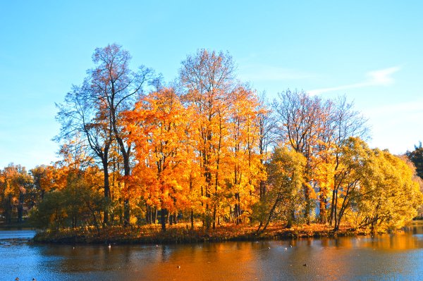 Октябрь Удмуртия природа Ува