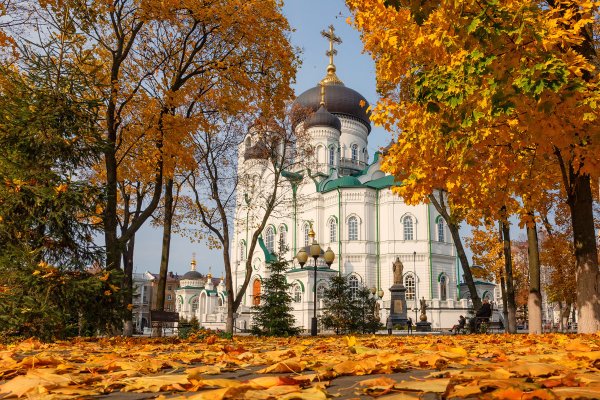 Осенние поля Челябинской области
