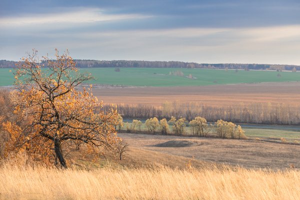 Тамбов храм осень