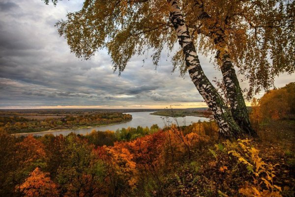 Сергей Косилов художник