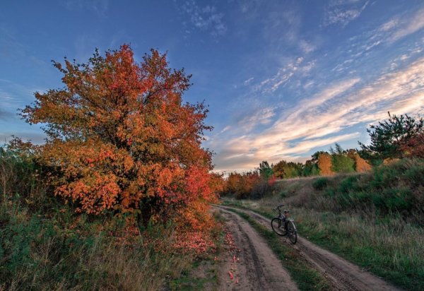 Трамвай осень Евпатория