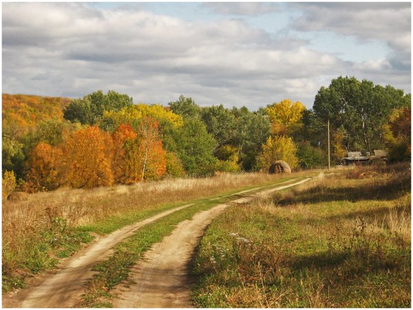 Елена Брежицкая фотограф осень