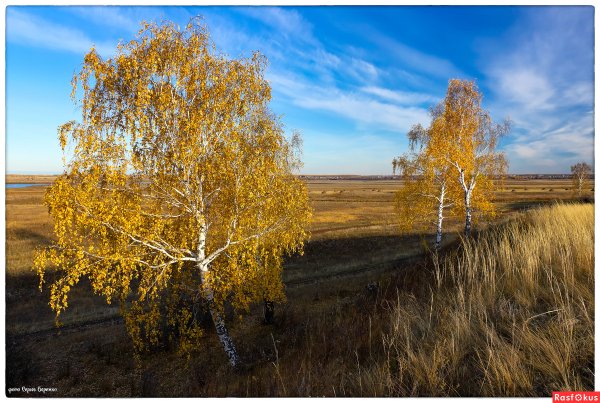 Урочище Горналь