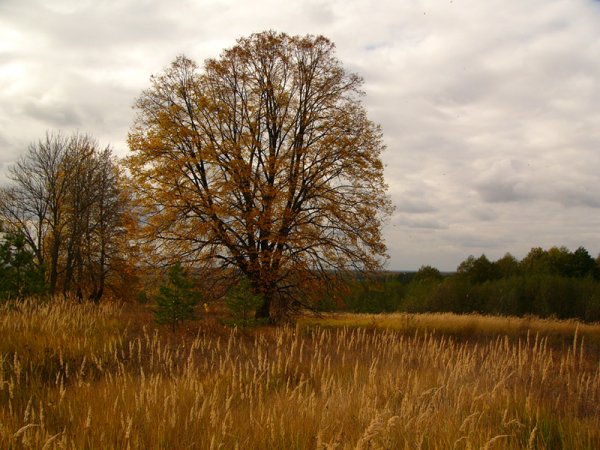 Осень Православие
