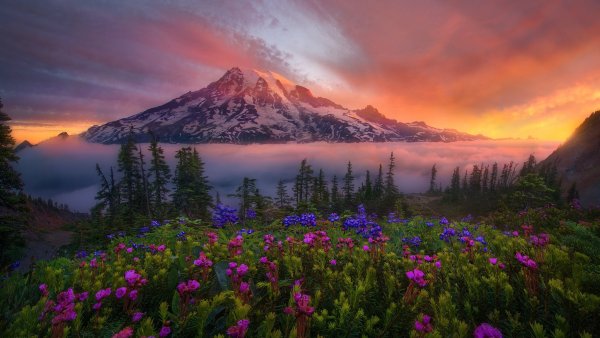 Пейзаж рассвет