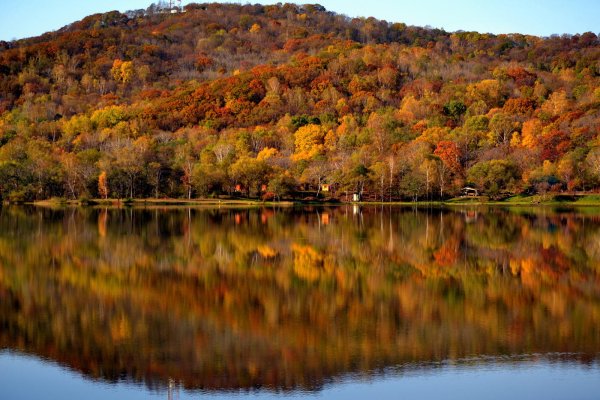 Уссурийская Тайга река Уссури