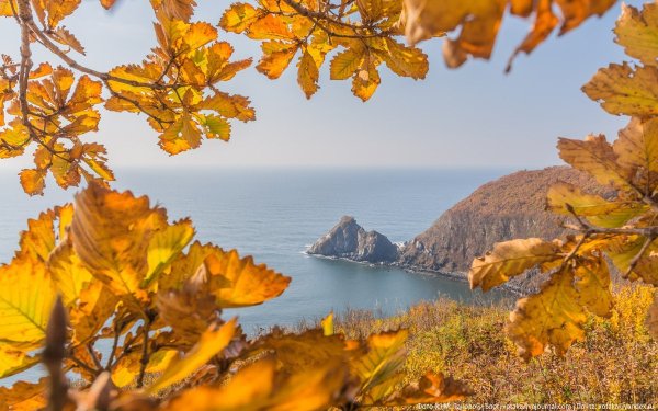 Находка Приморский край осень