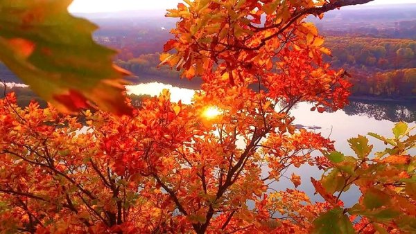 Золотая осень в Приморье