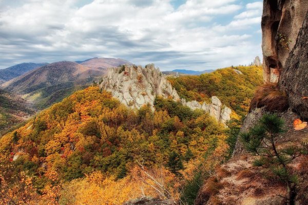 Парк драконов осень Приморье
