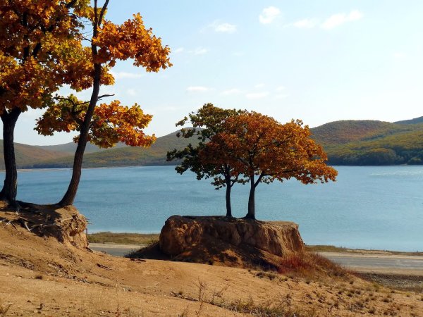 Дубовый лес Приморье осень