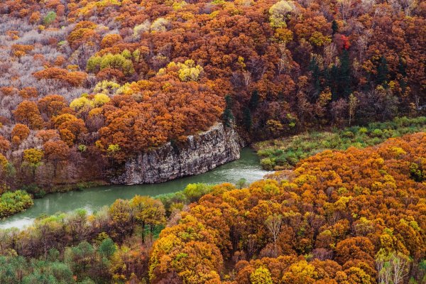 Ущелье Дарданеллы Приморский край осенью